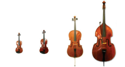String Family