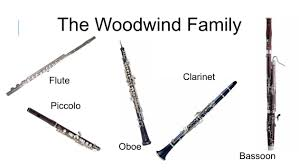 Woodwind Family