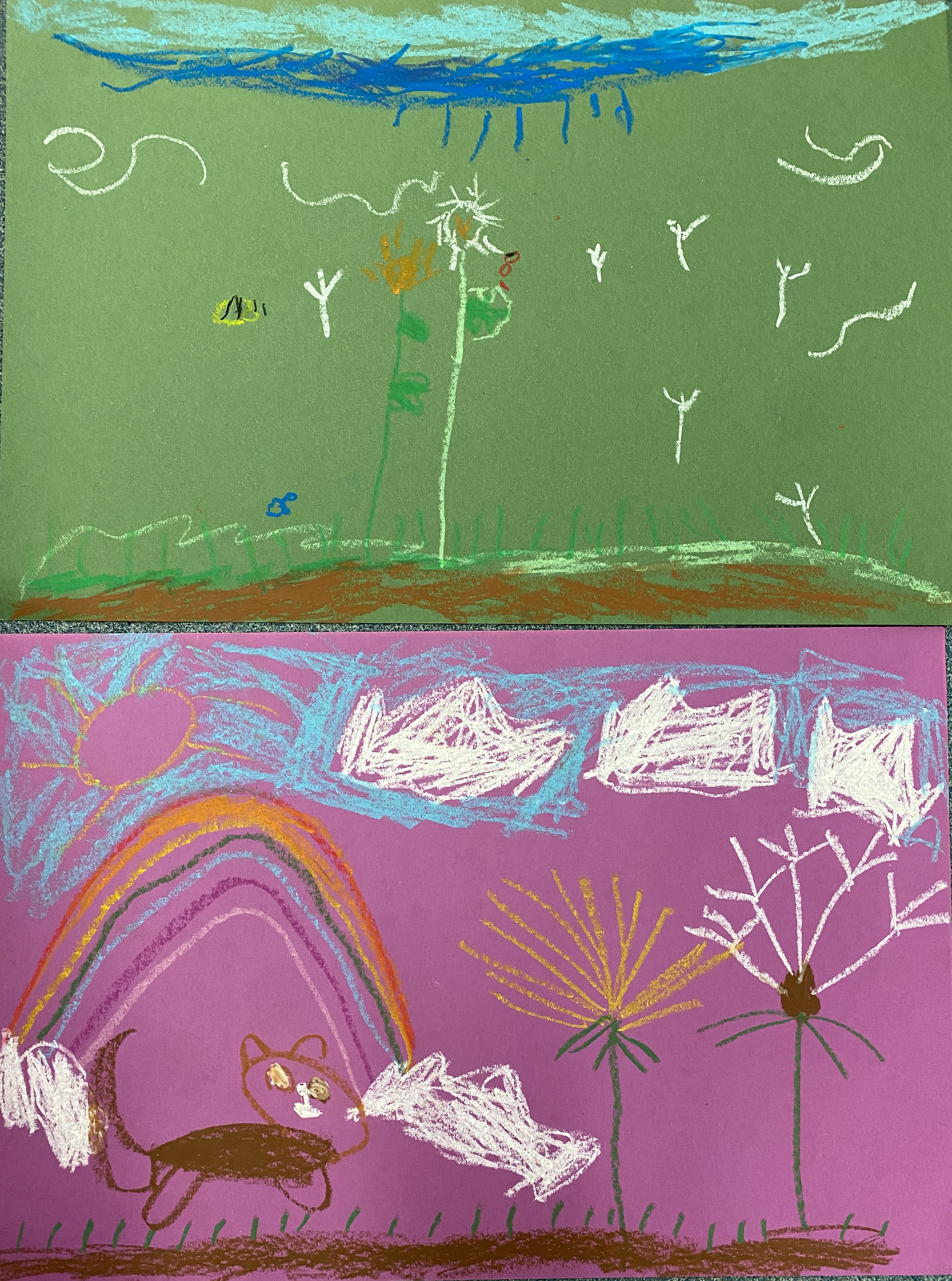 Kindergarten Art MOMC Dandelion Lesson