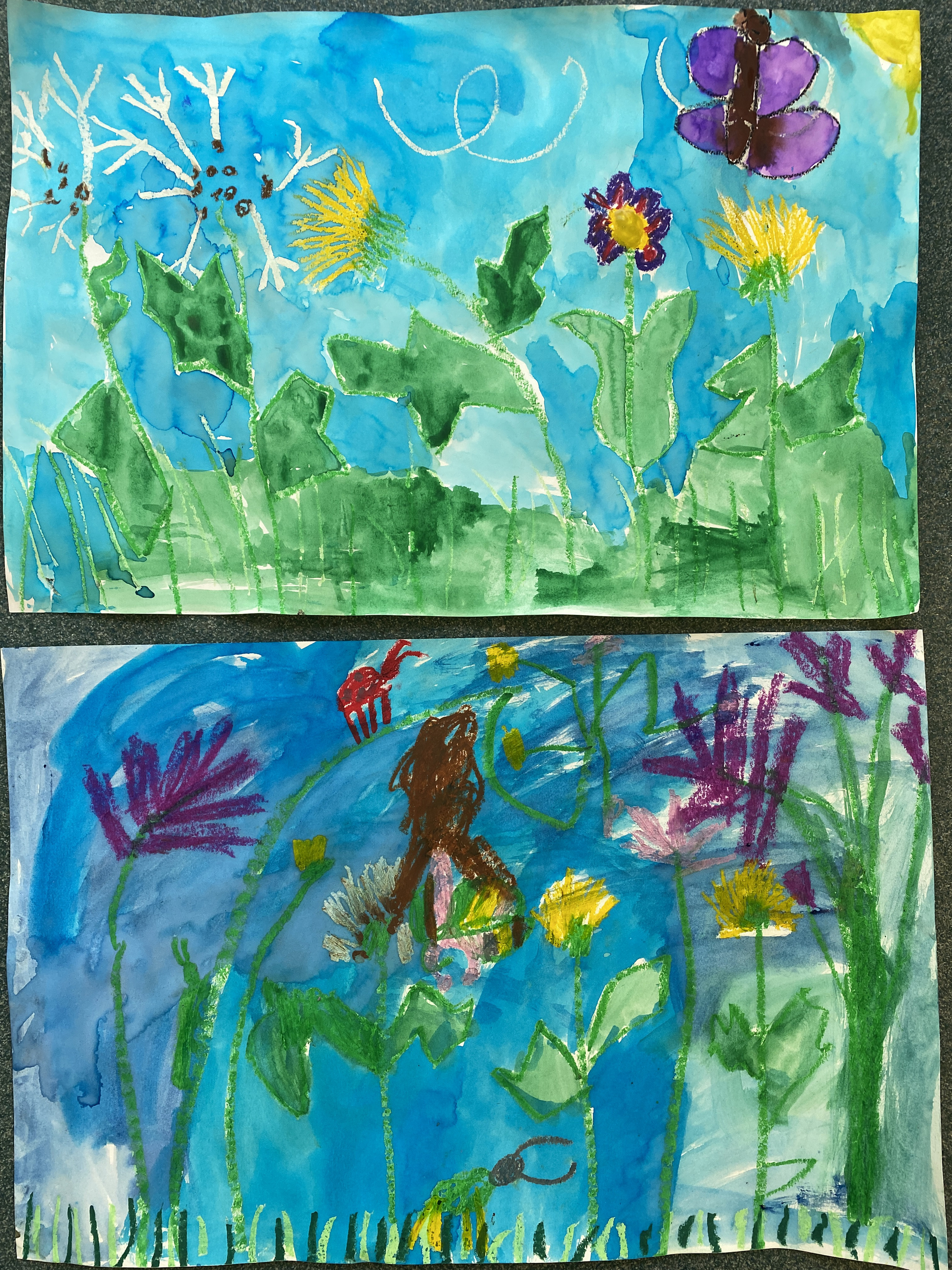 Kindergarten Art MOMC Dandelion Lesson