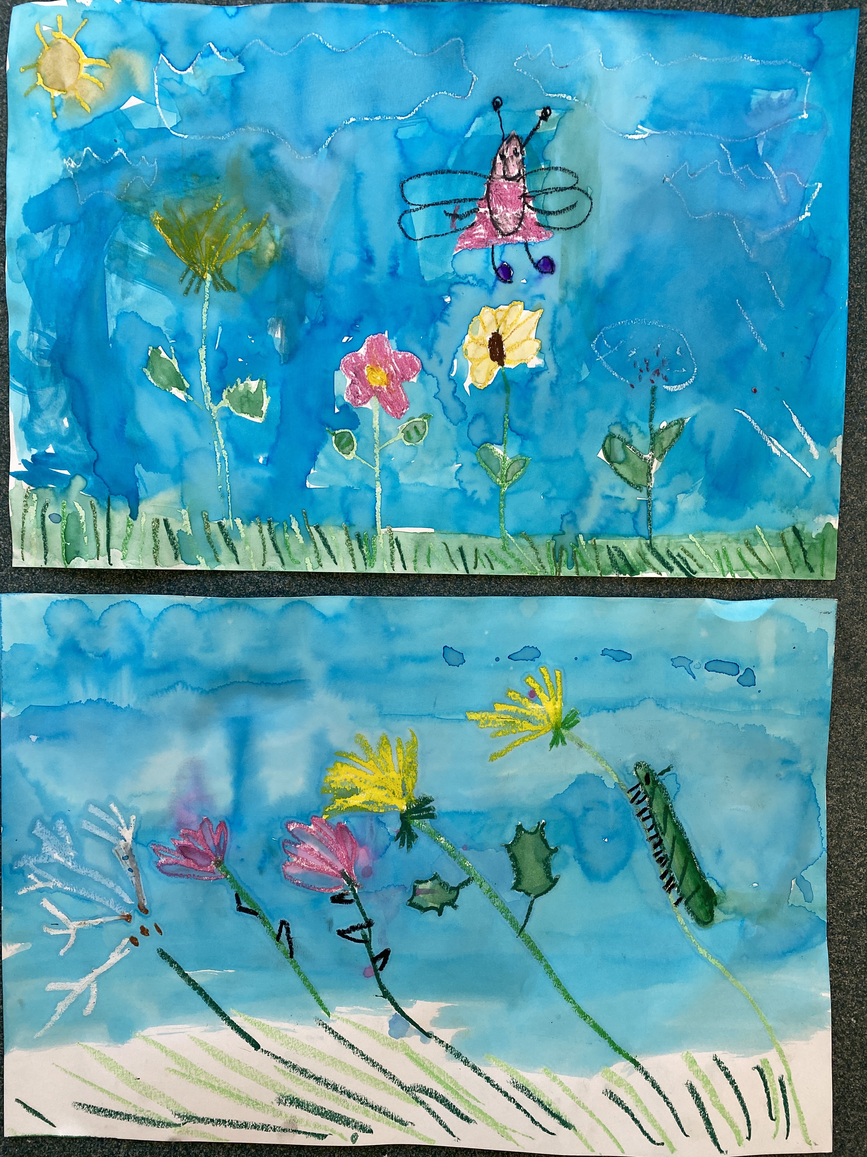 Kindergarten Art MOMC Dandelion Lesson