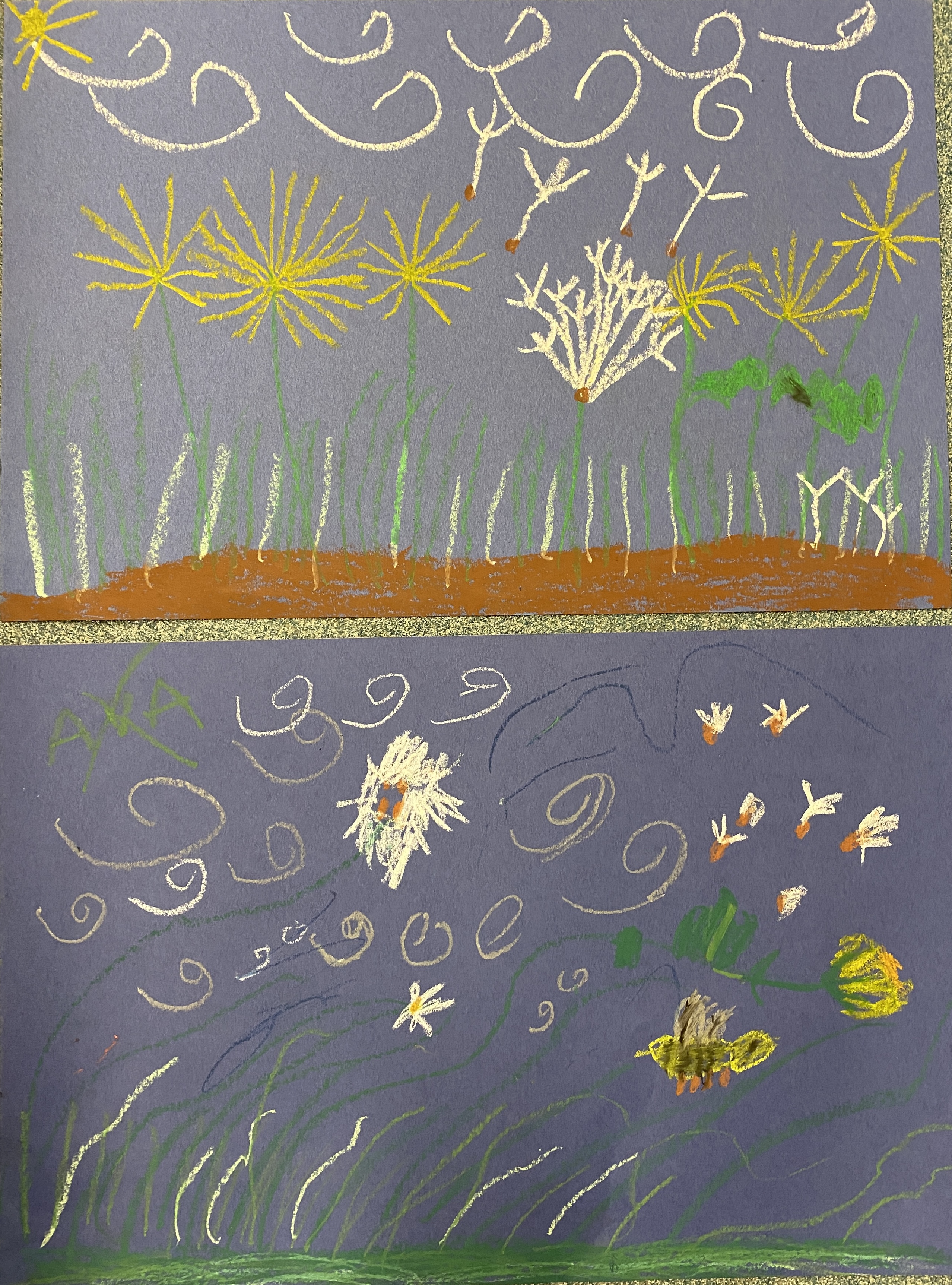 Kindergarten Art MOMC Dandelion Lesson