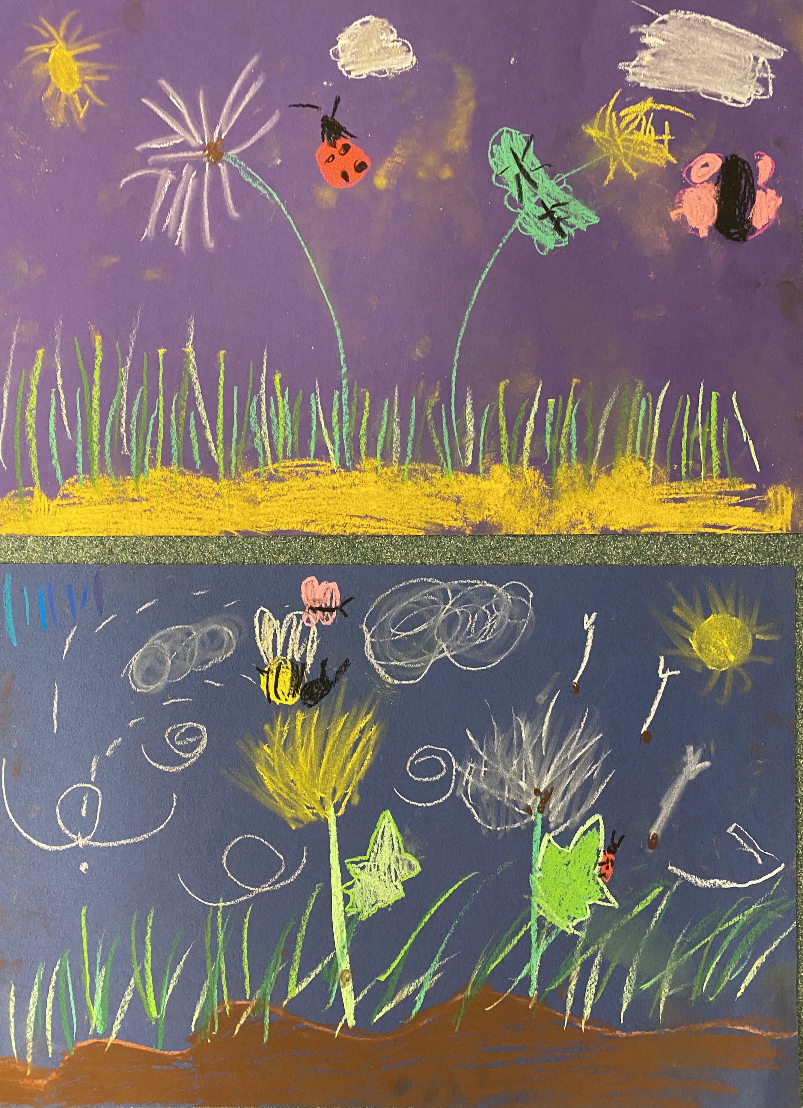 Kindergarten Art MOMC Dandelion Lesson