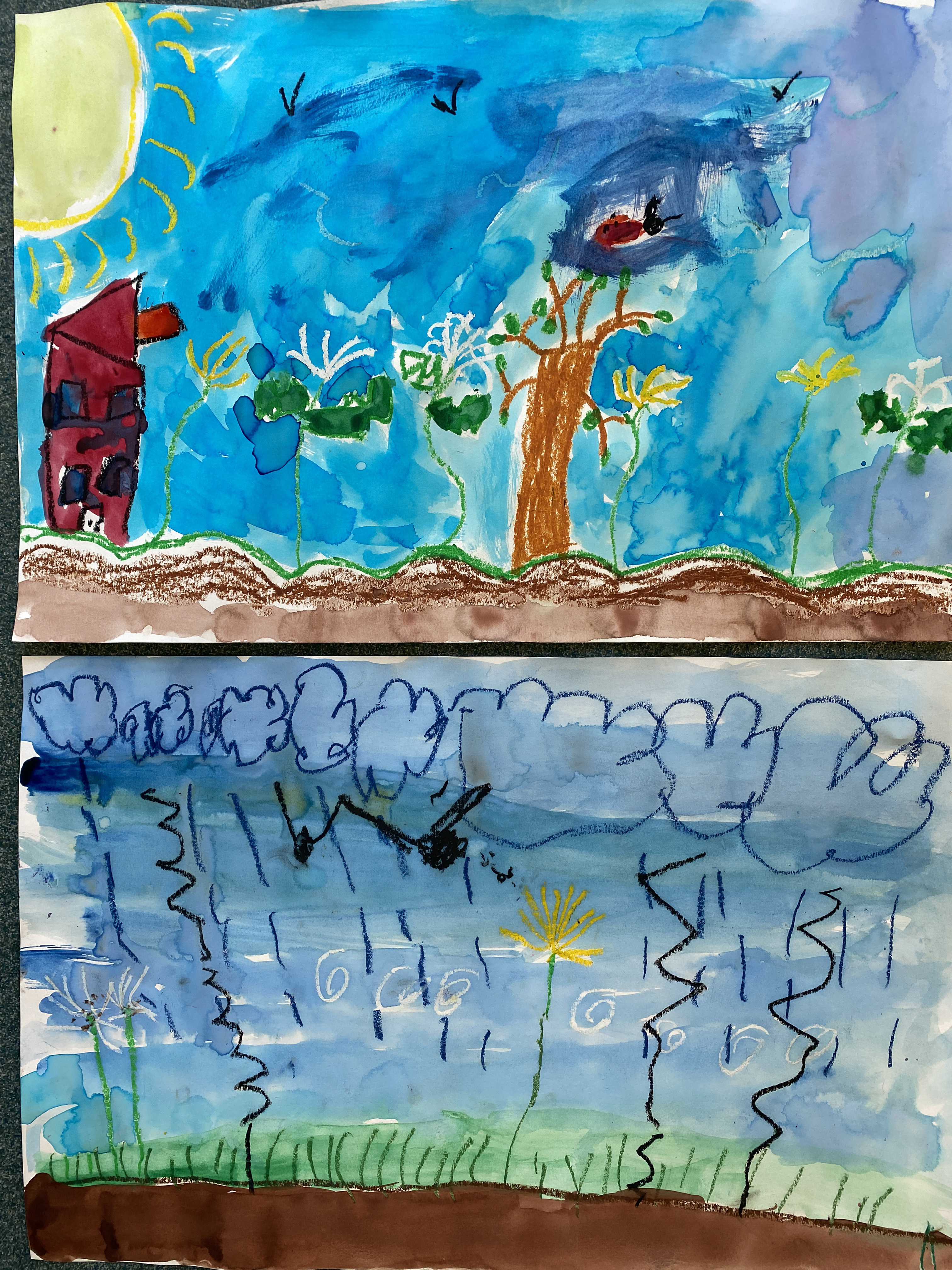 Kindergarten Art MOMC Dandelion Lesson